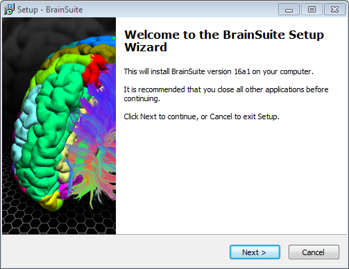 brainsuite16a1_win_installer